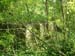 Csorvas_Nagy_majori_Wenckheim-kastely_labazata_2007.