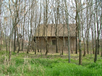 Kápolna